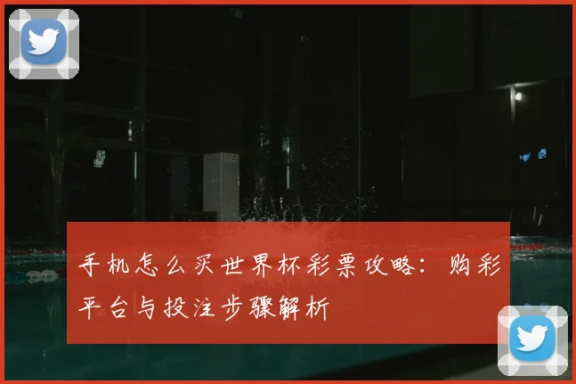 手机怎么买世界杯彩票攻略:购彩平台与投注步骤解析