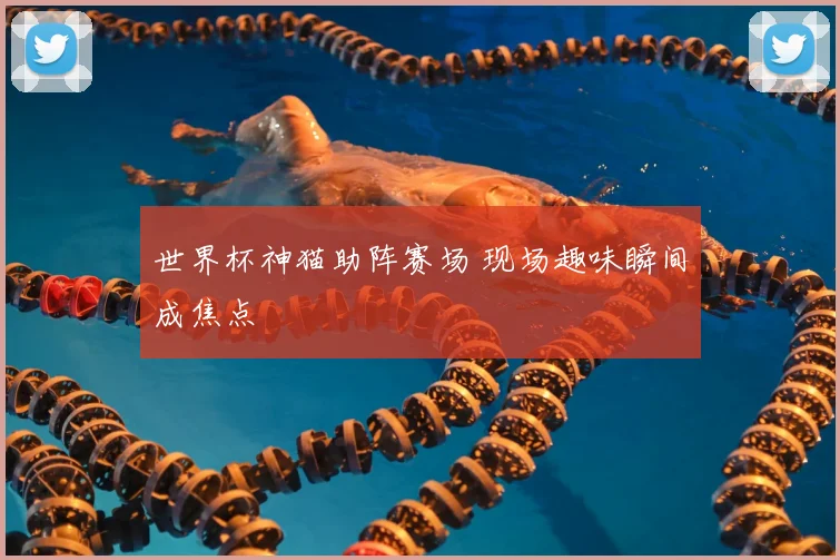 世界杯神猫助阵赛场 现场趣味瞬间成焦点
