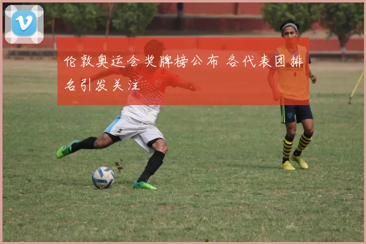 伦敦奥运会奖牌榜公布 各代表团排名引发关注