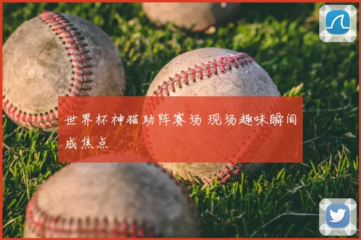 世界杯神猫助阵赛场 现场趣味瞬间成焦点